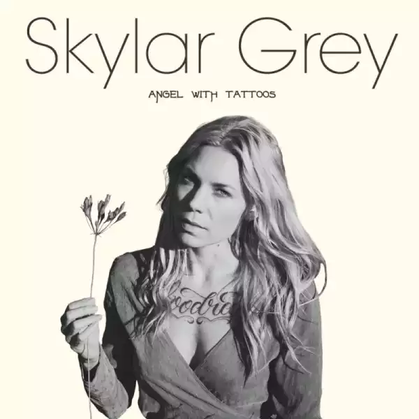 Skylar Grey - Shame On You